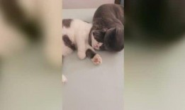 及时行乐爆料视频,一场视觉盛宴背后的故事