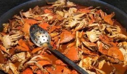 日料海鲜爆料方法视频,独家爆料烹饪技巧，轻松掌握美味秘诀